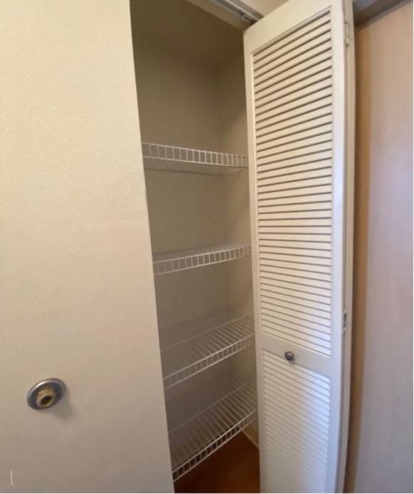 A white pantry with shelves and a door.